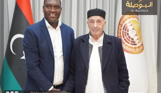 عبر مبعوث رئاسى خاص ..صالح يتلقى رسالة خطية من جنوب افريقيا
