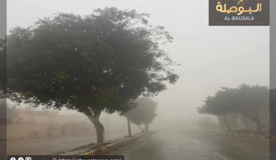 إدارة السدود ترفع حالة التأهب استعدادًا لهطول أمطار غزيرة