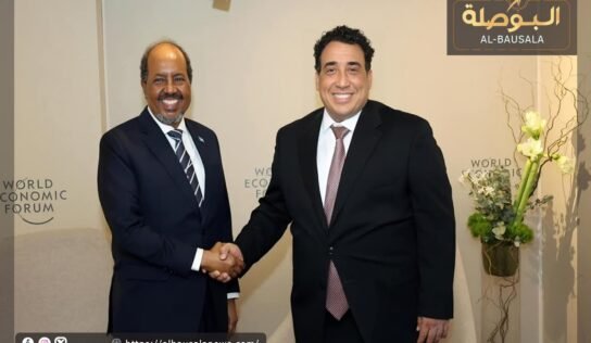 “المنفي” يبحث مع الرئيس الصومالي الأوضاع الإقليمية الراهنة