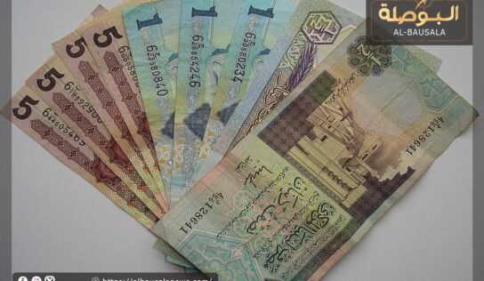 الدينار يتراجع في السوق الموازية ليسجل 6.88 دينار أمام الدولار الدينار