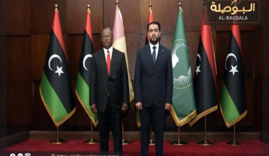 “حماد” يبحث مع رئيس غينيا بيساو تعزيز الشراكة وفتح القنصلية