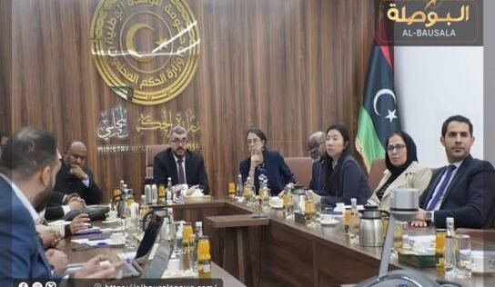 وزير الحكم المحلي والمبعوثة الأممية يؤكدان أهمية الإدارة المحلية لإرساء السلام