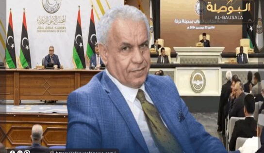 المالطي: مجلسا النواب والدولة سيصلان لاتفاق خلال عام 2025 لإجراء الانتخابات