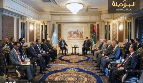 “المنفي” و “رئيس الصومال” يبحثان استئناف التعاون في عدد من القطاعات