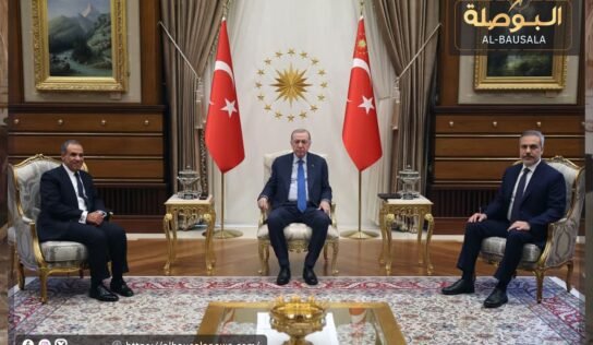 وزير الخارجية المصري يبحث مع  “أردوغان” استعادة الأمن في ليبيا