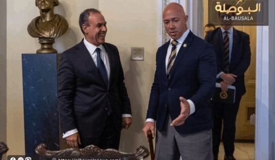 وزير الخارجية المصري يطالب بتشكيل حكومة ليبية موحدة