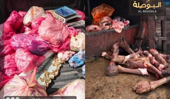 النيابة العامة تضبط 16 محلاً لتوزيع اللحوم الفاسدة في طرابلس وتُحيل 14 متهماً للتحقيق