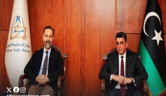 شكشك يبحث مع السفير التركي أهمية خضوع المشاريع المشتركة لمراجعة ديوان المحاسبة