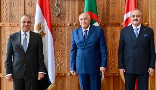 وزراء خارجية مصر والجزائر وتونس يطالبون بانسحاب المرتزقة من ليبيا