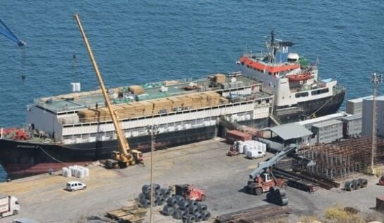 أول رد رسمي: سفينة المواشي سبيريدون تخضع للحجر الصحي في ميناء جليانة