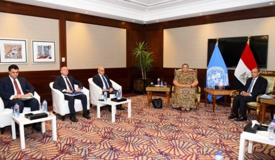 القاهرة تدعم خارطة الطريق الأممية وتدعو لتشكيل حكومة موحدة في ليبيا