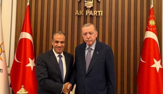 القاهرة: تنسيق “مصري تركي” لدعم التسوية السياسية في ليبيا