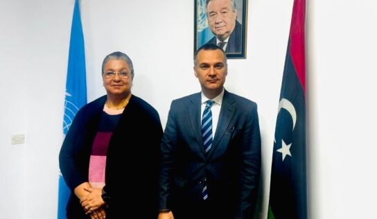 مشاورات أممية مصرية لتنفيذ خارطة الطريق والوصول إلى انتخابات في ليبيا