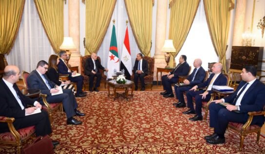 مصر والجزائر: توحيد المؤسسات والانتخابات طريق استقرار ليبيا