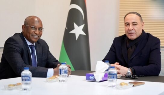 مواجهة موجة الهجرة غير النظامية تتصدر لقاء الباعور وسفير تشاد الجديد