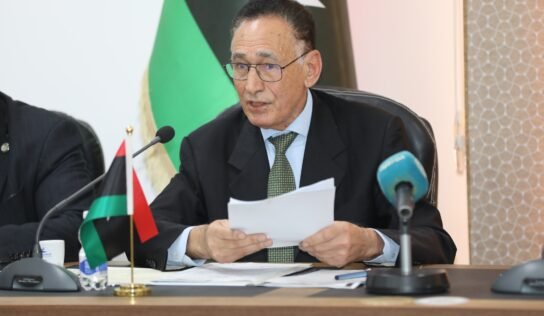 اقتصاد حكومة الوحدة تحدد سقف أسعار الأعلاف وتلاحق المحتكرين