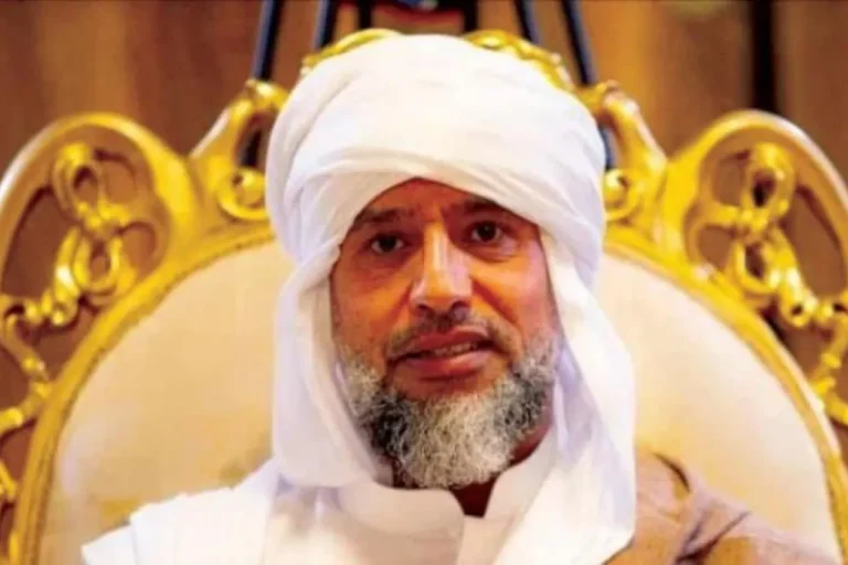 تسريبات وأدلة متناقضة.. موقع يكشف عن تورط فرنسيين باغتيال سيف الإسلام