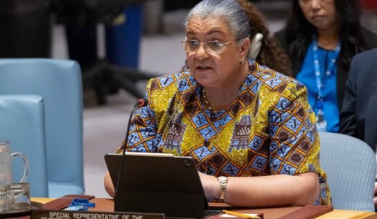 جلسة إحاطة مرتقبة للمبعوثة الأممية أمام مجلس الأمن في 18 فبراير الجاري