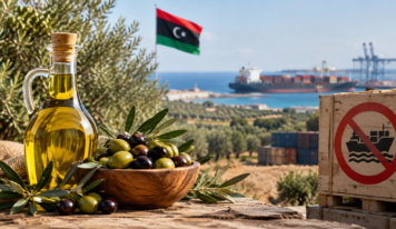 حظر تصدير زيت الزيتون.. كريمة يحذّر من خسائر المزارعين وضياع الأسواق