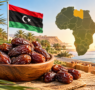 إنتاج وصادرات بالأرقام.. التمور الليبية تعزز حضورها أفريقيًا