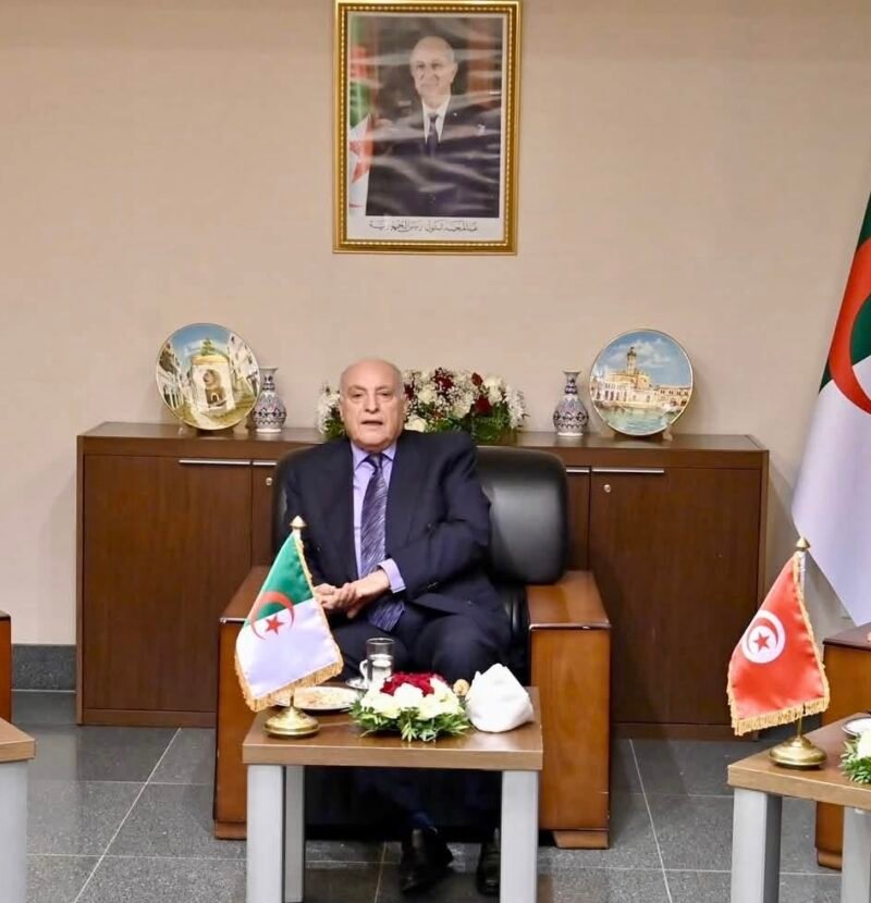 انتخابات وتوحيد للمؤسسات.. تحرك جديد لدول الجوار بشأن ليبيا